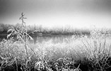 Paesaggi del silenzio - bianco e nero (1981 - ) - Camera: CANON F1   Lens: CANON 28 mm, 50 mm, 135 mm e 300 mm  Film:  Ilford FP4, HP5