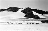 Paesaggi del silenzio - bianco e nero (1981 - ) - Camera: CANON F1   Lens: CANON 28 mm, 50 mm, 135 mm e 300 mm  Film:  Ilford FP4, HP5