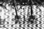 Uomini & Citt�  (1979 - 2011)     - Camera: CANON F1   Lens: CANON 28 mm, 50 mm, 135 mm e 300 mm  Film: Ilford FP4, HP5
