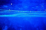 Il cielo d'acqua (1998 - 2012) - Camera: NIKONOS V    Lens: Nikon 35 mm    <br /> Film:   KODAK EKTACHROME  Professional, 64 E100VS