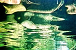 Il cielo d'acqua (1998 - 2012) - Camera: NIKONOS V    Lens: Nikon 35 mm    <br /> Film:   KODAK EKTACHROME  Professional, 64 E100VS