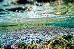 Il cielo d'acqua (1998 - 2012) - Camera: NIKONOS V    Lens: Nikon 35 mm    <br /> Film:   KODAK EKTACHROME  Professional, 64 E100VS