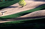 Paesaggi del silenzio - Colours (1981 -) - Camera: CANON F1   �   Lens: CANON 28 mm, 50 mm, 135 mm, 300 mm <br/>Film: KODAK EKTACHROME 64 Professional, E100VS