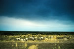 Paesaggi del silenzio - Colours (1981 -) - Camera: CANON F1   �   Lens: CANON 28 mm, 50 mm, 135 mm, 300 mm <br/>Film: KODAK EKTACHROME 64 Professional, E100VS
