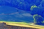 Paesaggi del silenzio - Colours (1981 -) - Camera: CANON F1   �   Lens: CANON 28 mm, 50 mm, 135 mm, 300 mm <br/>Film: KODAK EKTACHROME 64 Professional, E100VS